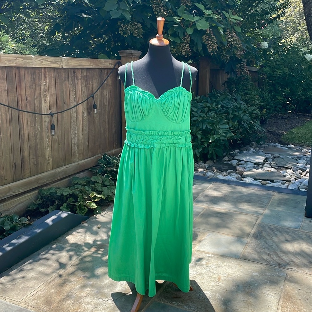 Anthropologie Corset Midi Dress - Picture 4 of 13